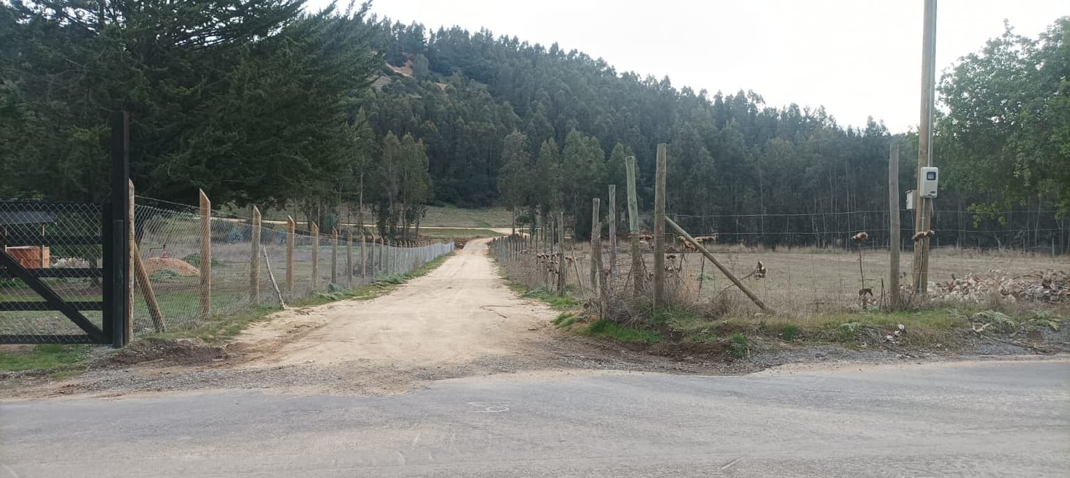 Ruta I-190, Navidad, O'Higgins 3230000, Chile