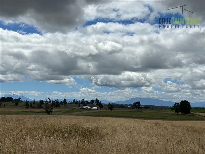 11,2 hás. con bosque y vista despejada a Volcanes, a 15 min. de Puerto Varas.