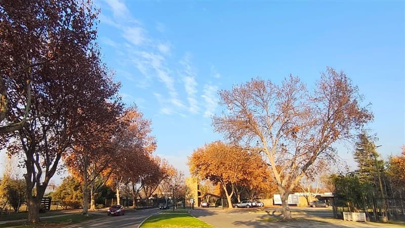 Las Brisas de Chicureo