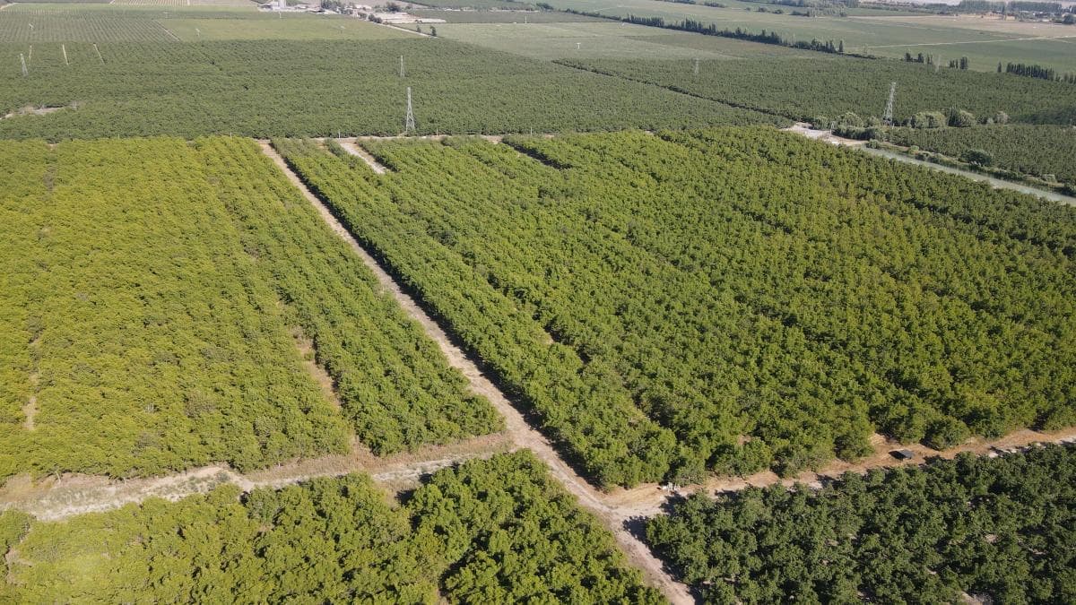 Ex Fundó El Milagro