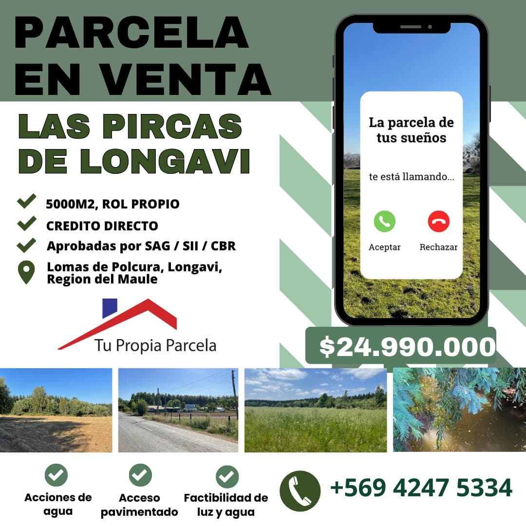 Lomas de Polcura, Longavi