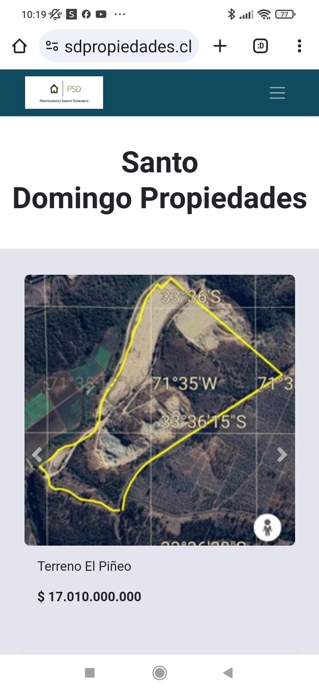 Fundo el piñeo