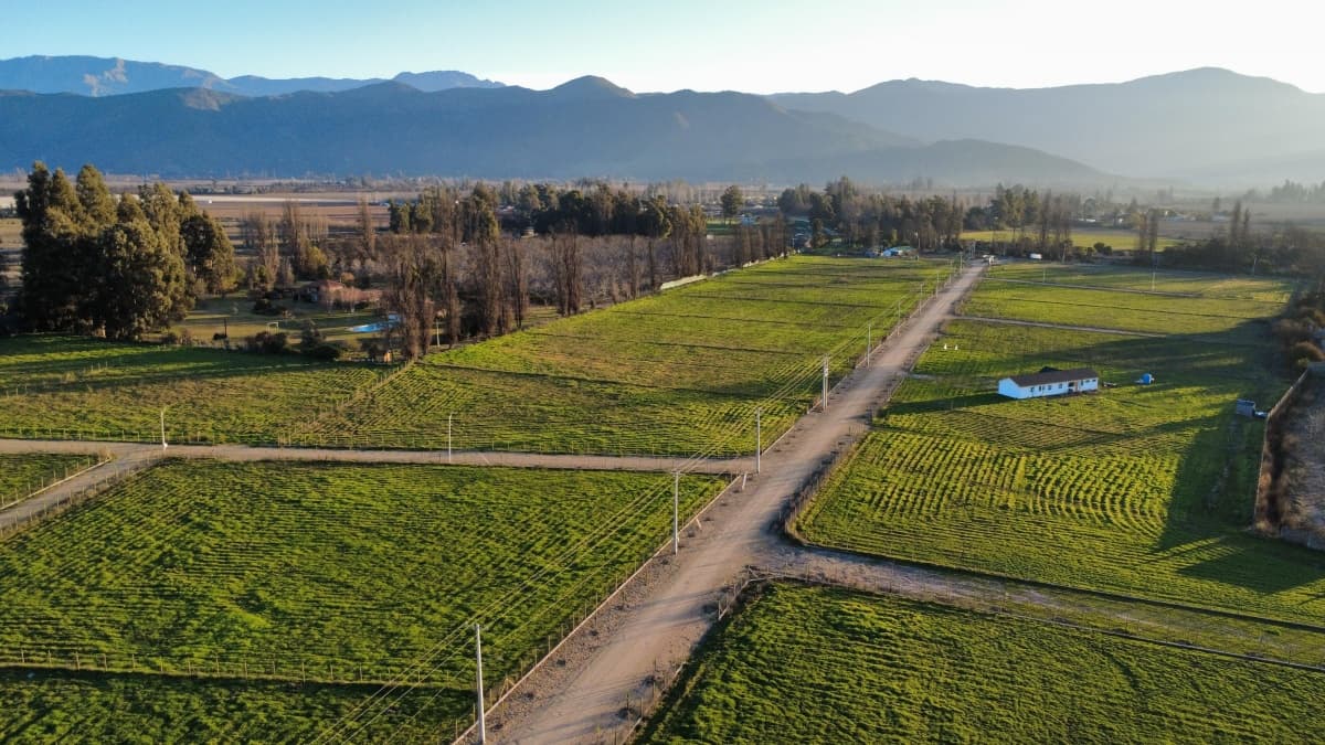 Olea 3603, Isla de Maipo