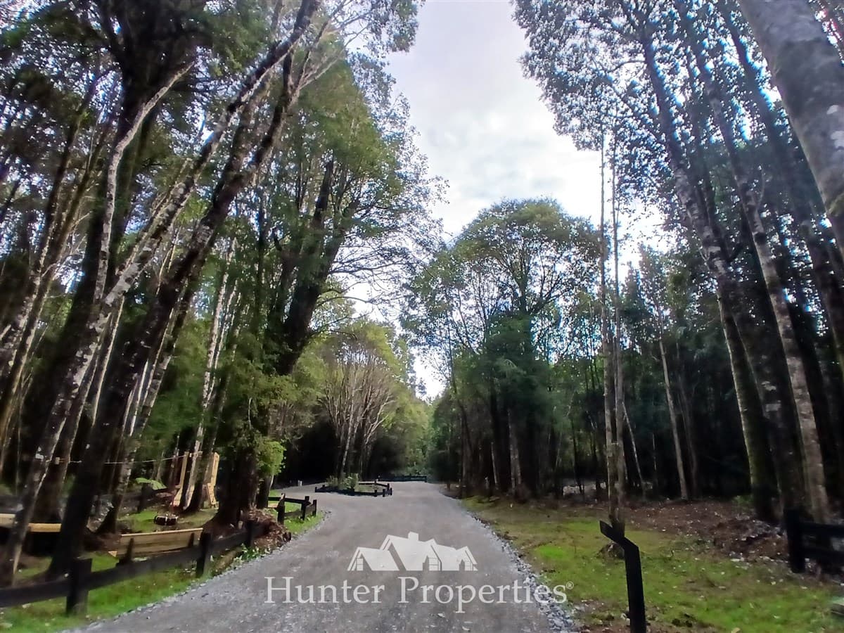 camino Las Tranqueras frente a playa Niklitschek