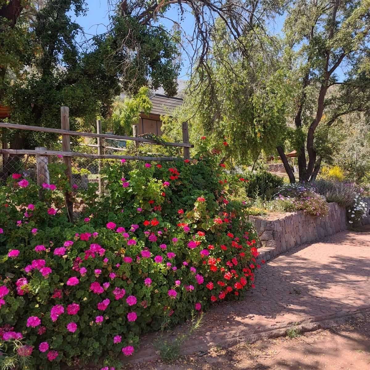 Se vende parcela en Sta Sofia de lo Cañas (96790)