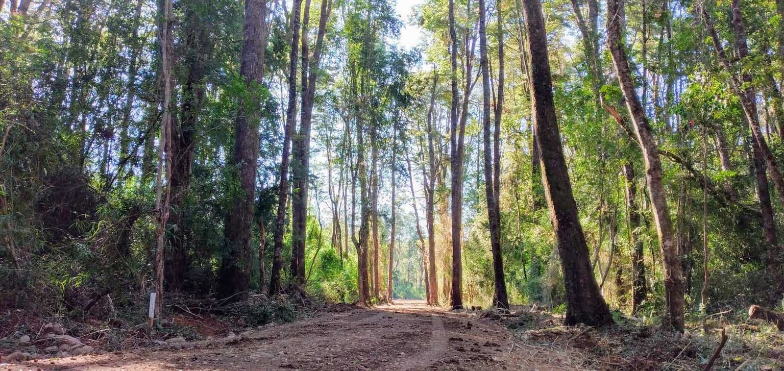 Camino a Riñihue, sector Punahue (119949)