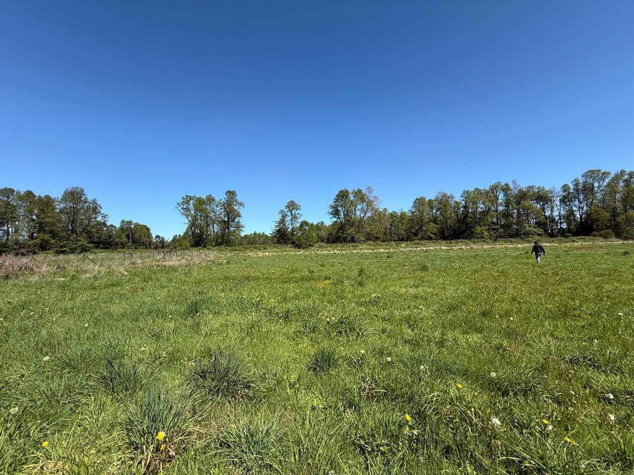 Hermosa Parcela con acceso al Rio (125895)