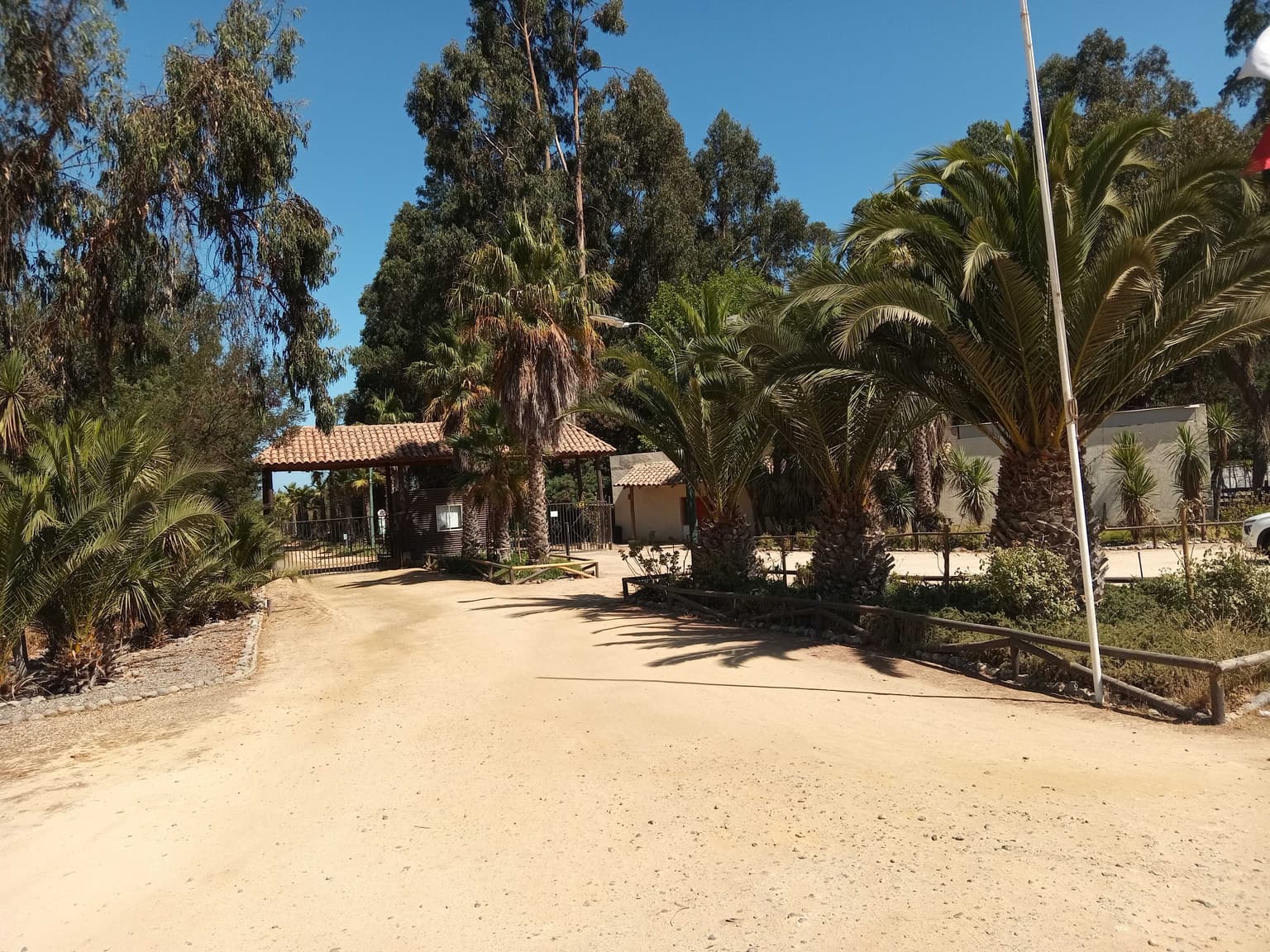 Parcela Las Forestas de Zapallar. (80867)