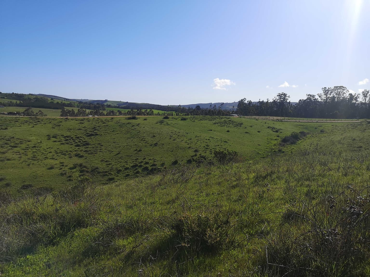 Insuperable, Parcela de 5.000 mts en venta (165827)