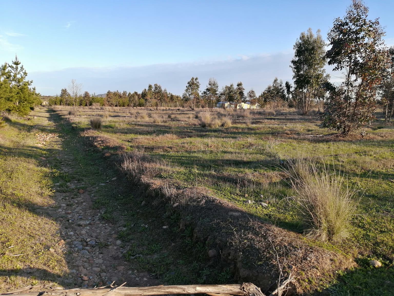 Parcela plana en venta (140046)