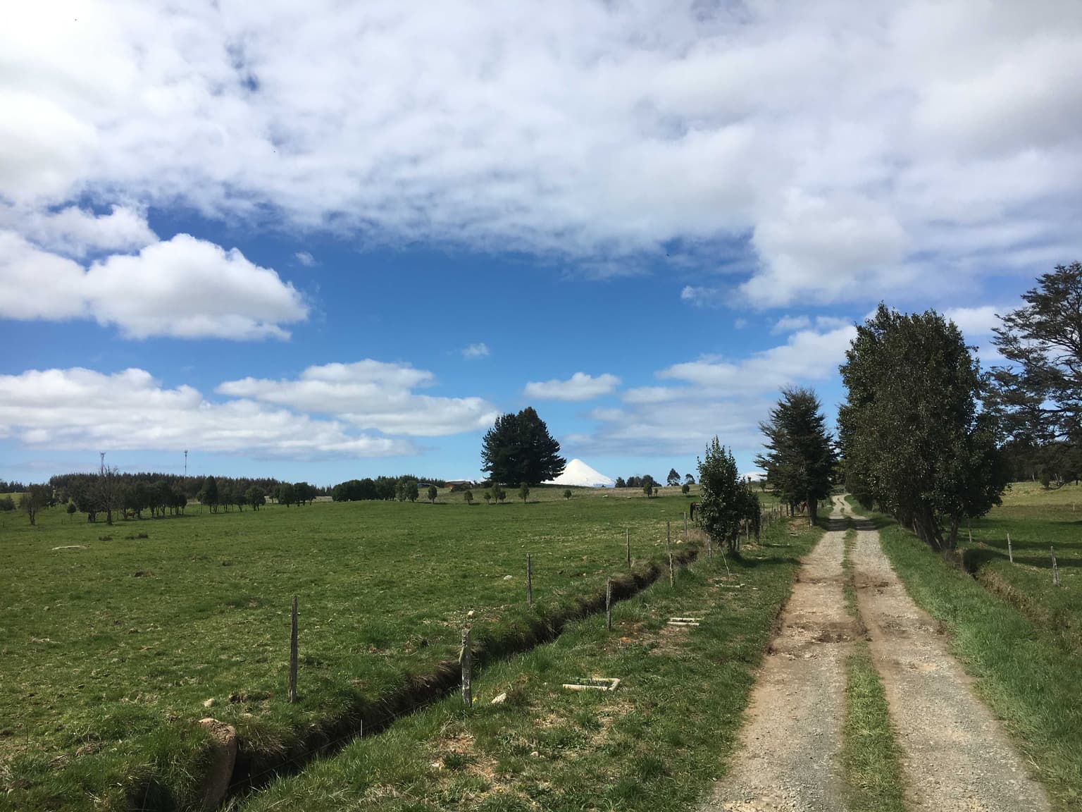 Parcelas a 10 minutos de Frutillar (74893)