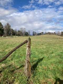 Venta parcela Mune Alto , Pitrufquen (141358)