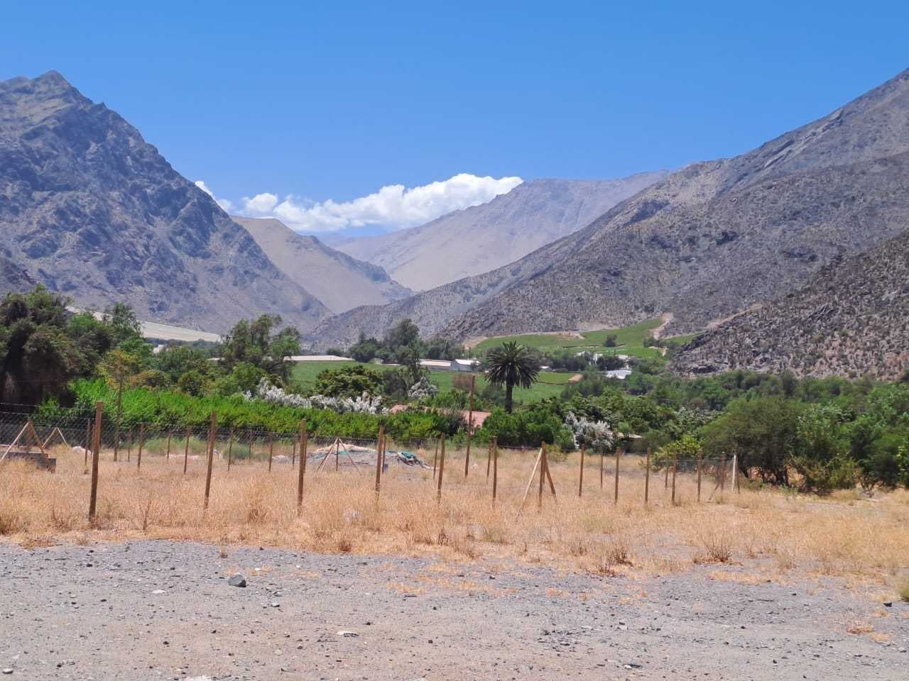 Se vende Terreno en el Valle del Elqui (168507)