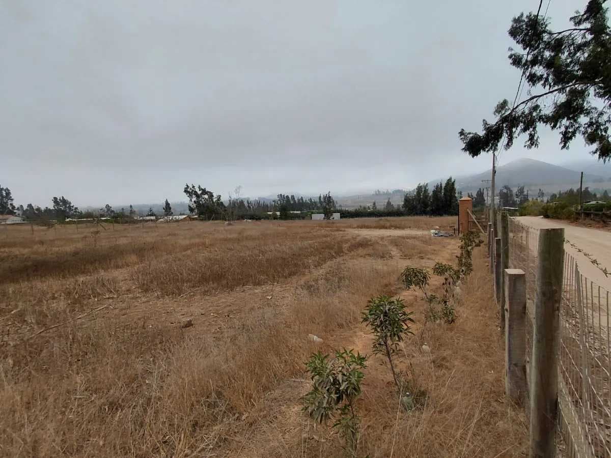 Arriendo terreno en Altovalsol (174977)