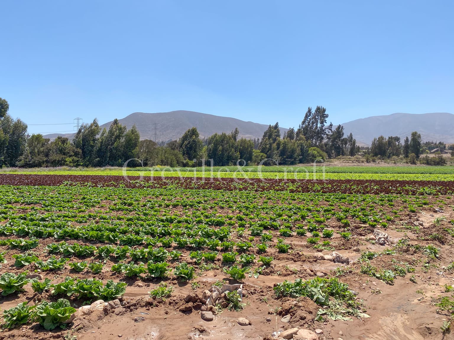 Parcela con excelente ubicación en Altovalsol (173256)