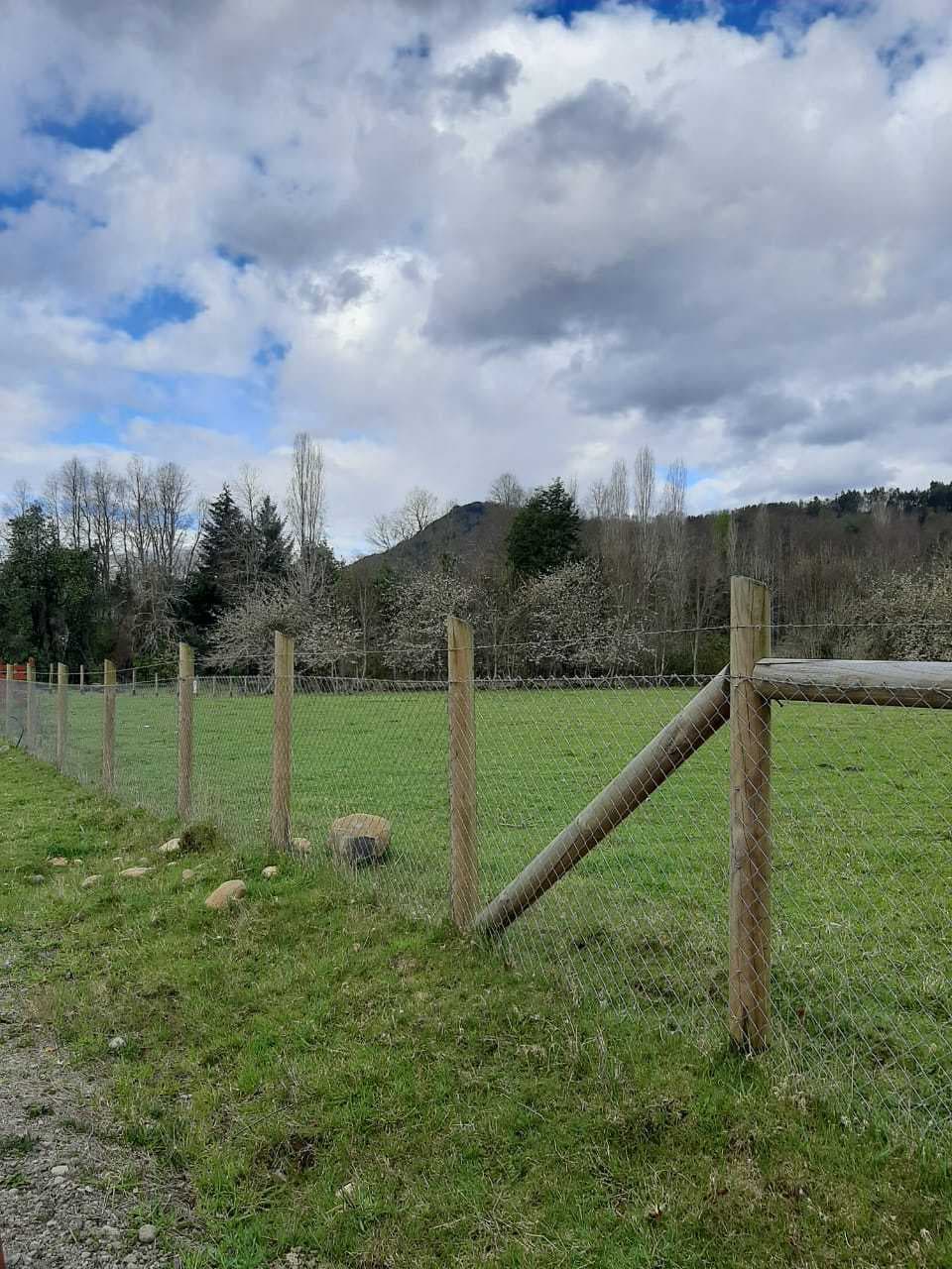 Oportunidad de Inversión en Parcela (146210)