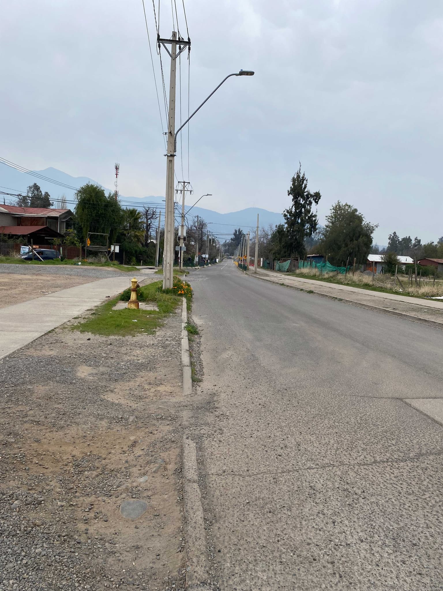 AV CENTRAL- LOS CASTAÑOS (71593)