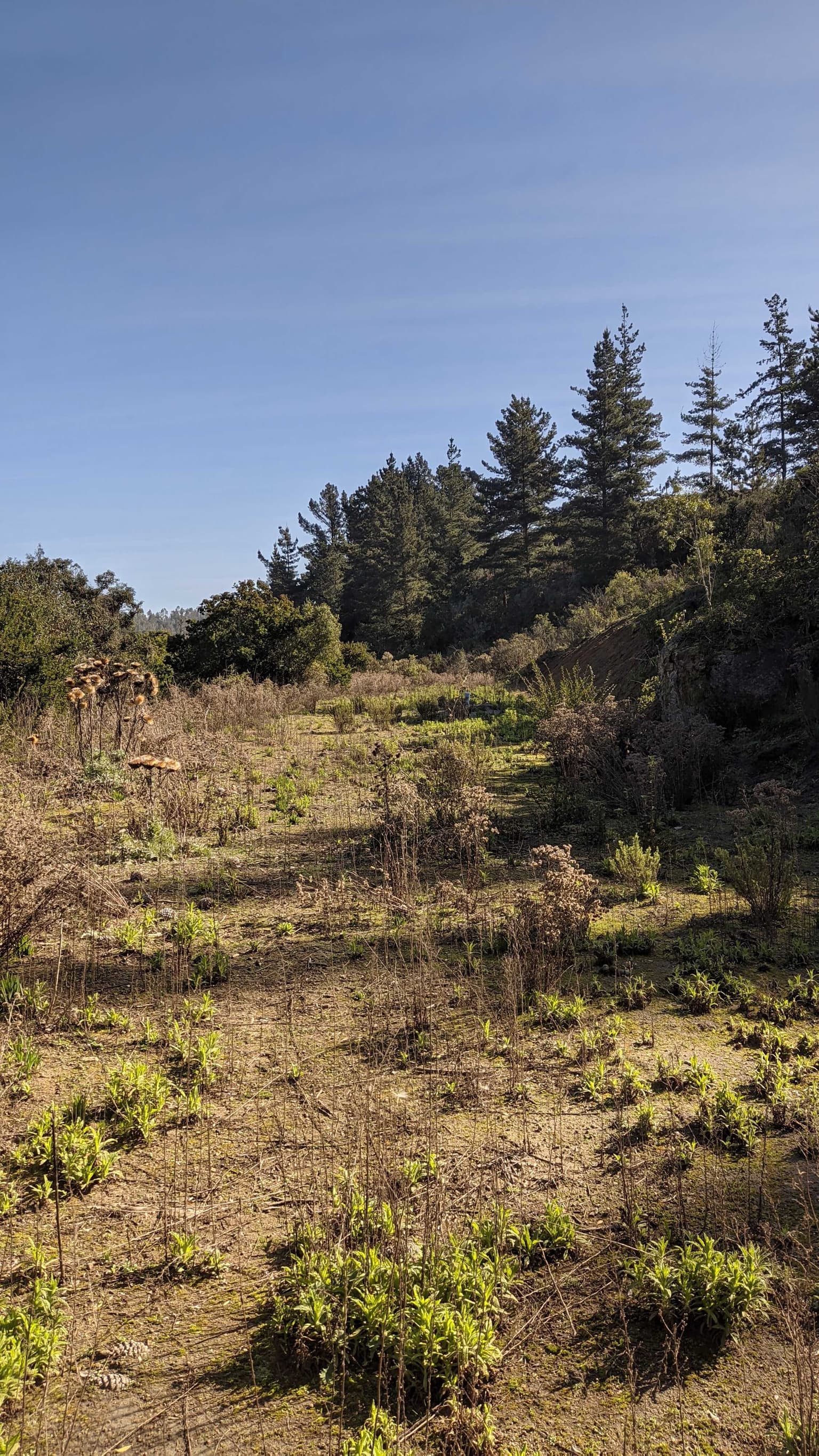 Terreno de 7500 m² en Tunquén, Valparaíso (68788)