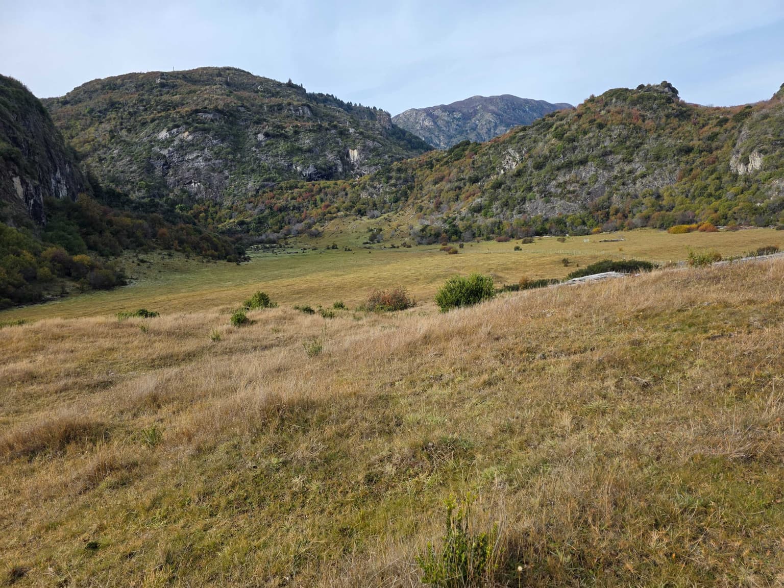CARRETERA AUSTRAL MAÑIHUALES (123639)