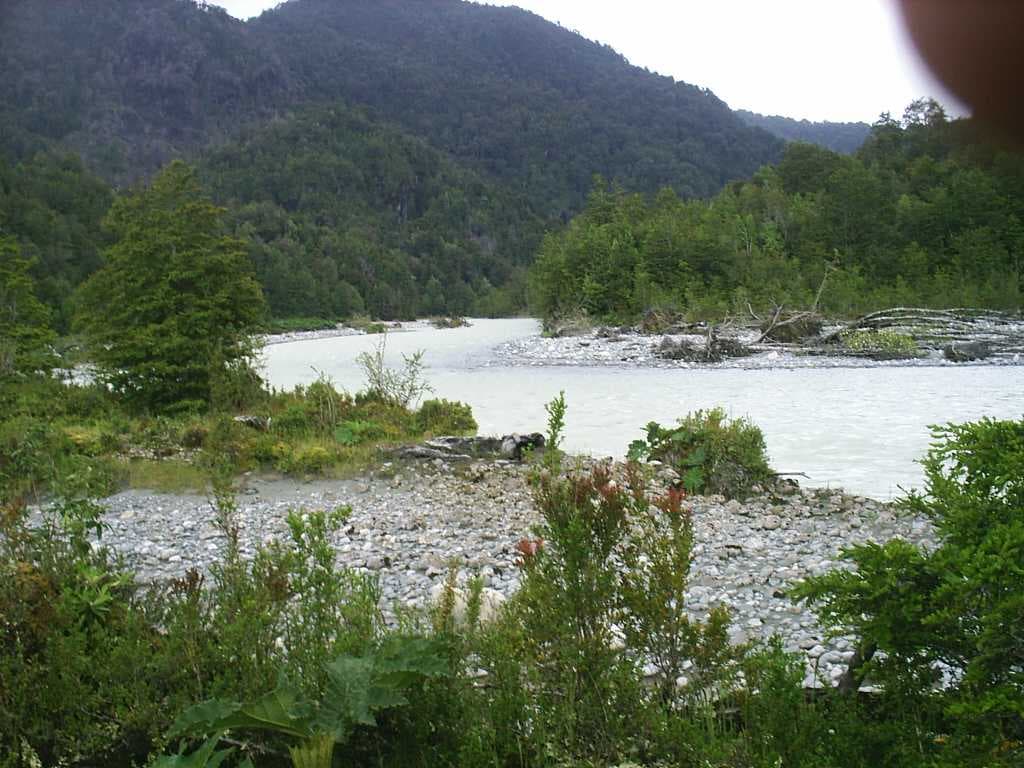 PUERTO BALLENA (63616)