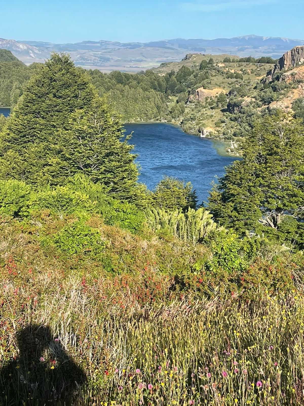 CAMINO A VALLE LAGUNA (64818)