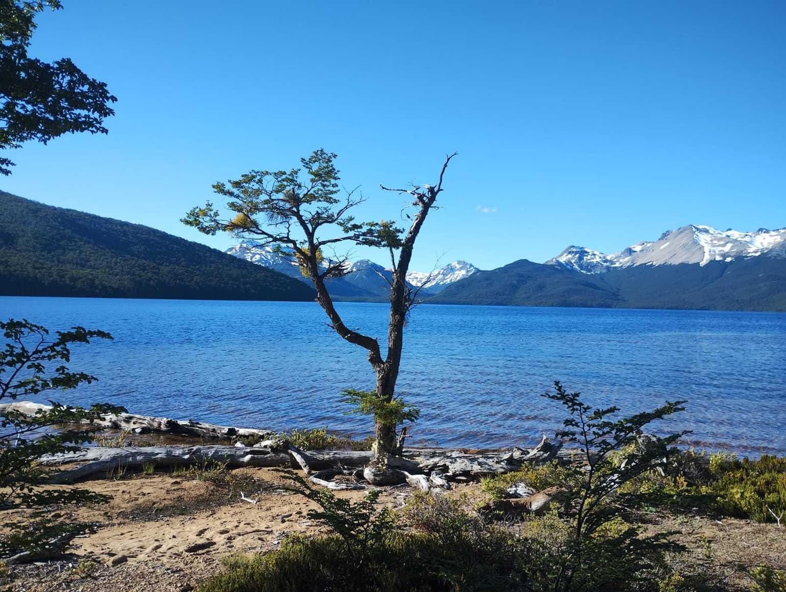 FUNDO LAGO BRAVO (70358)