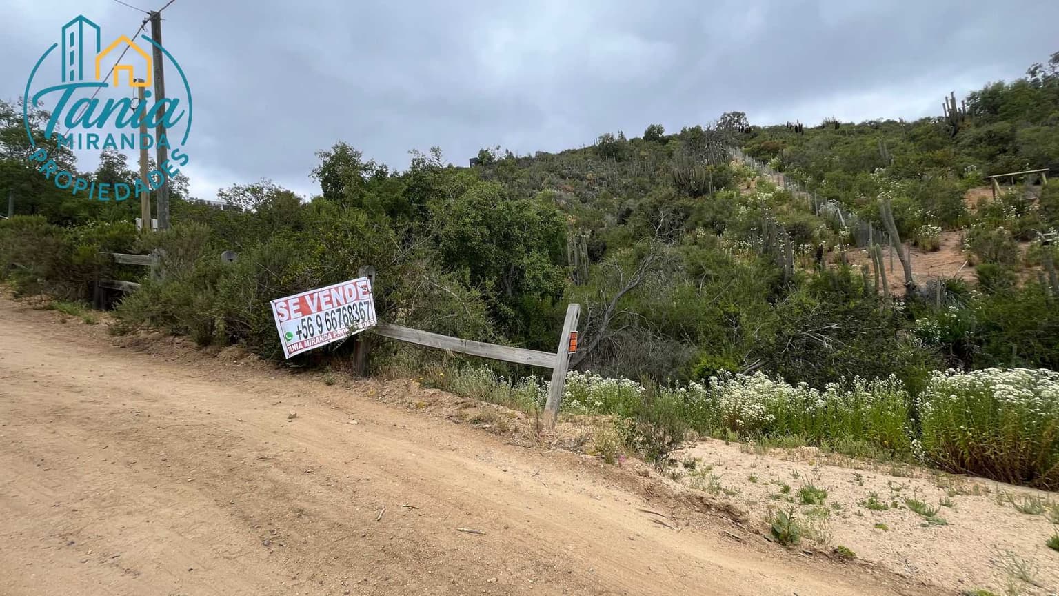 Entorno Natural, Perfecta para Descansar (137575)