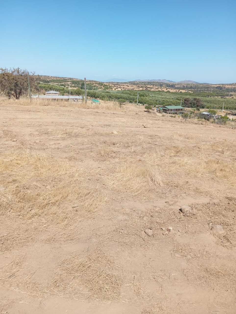 PARCELA DE AGRADO EN LA ESTRELLA (101547)