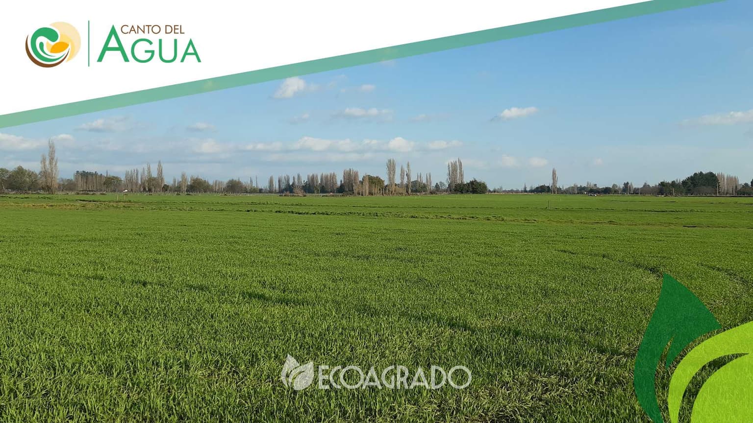 Parcelas en venta en Pinto (129083)