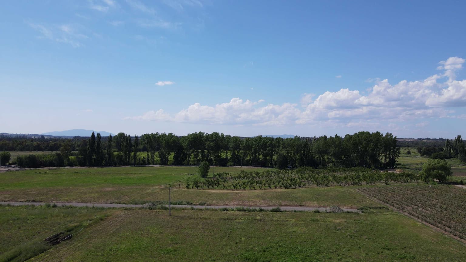 Parcelas en venta (129084)