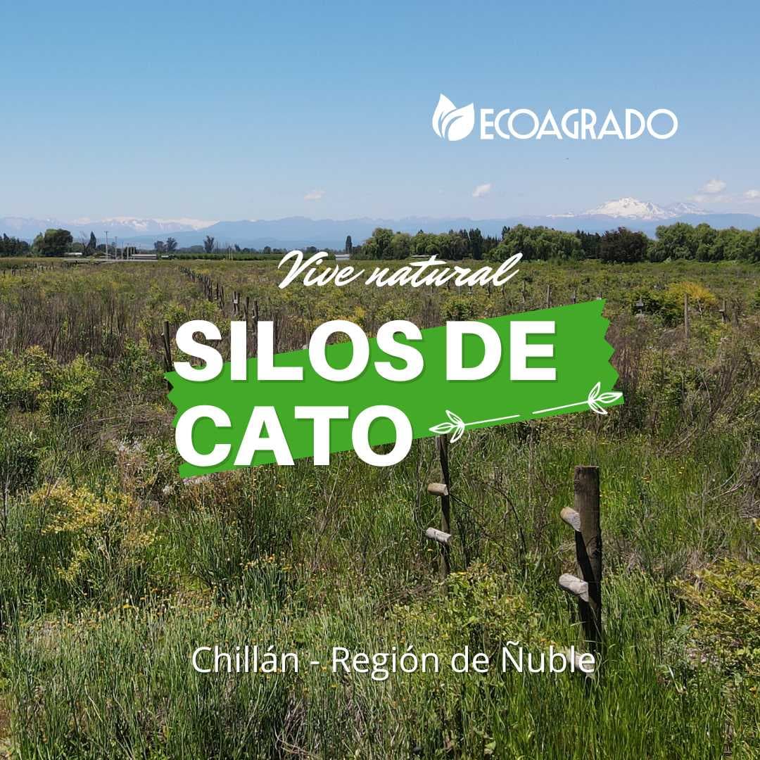 Parcelas en venta en Camino a Cato (129088)
