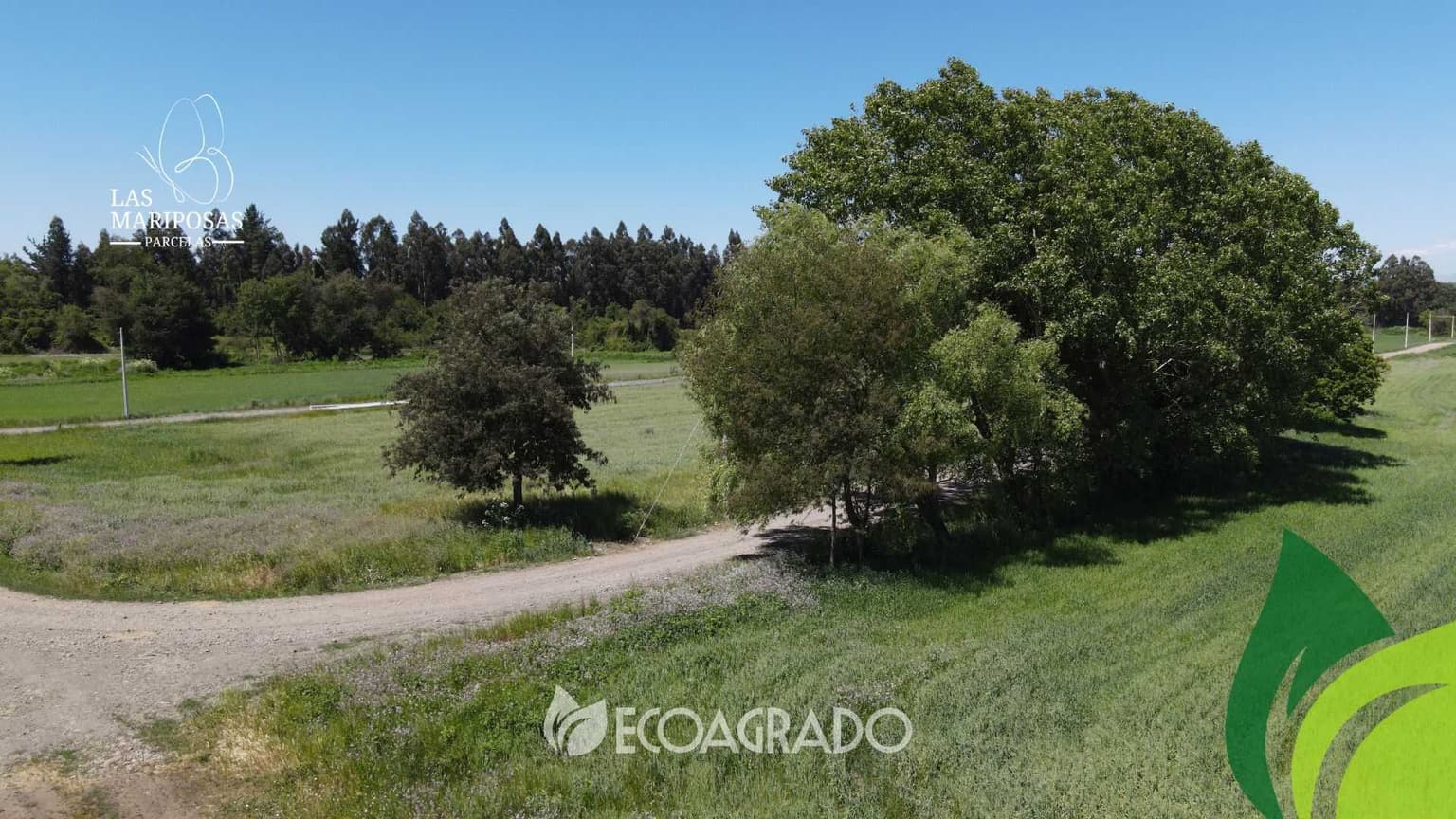 Parcelas Camino a las Mariposas Chillán (129090)