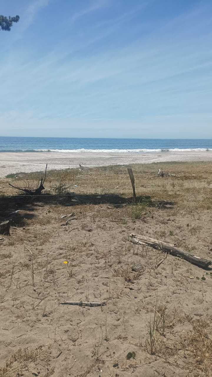 Parcelas con Vista al Mar en Arauco (139894)
