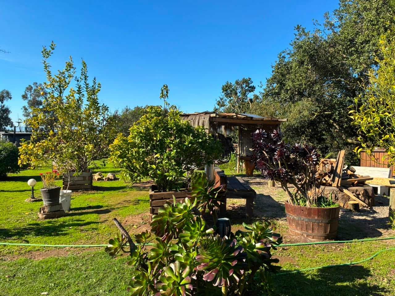 CAMPOMAR 1 EXCELENTE CASA EN DESNIVELES (181863)