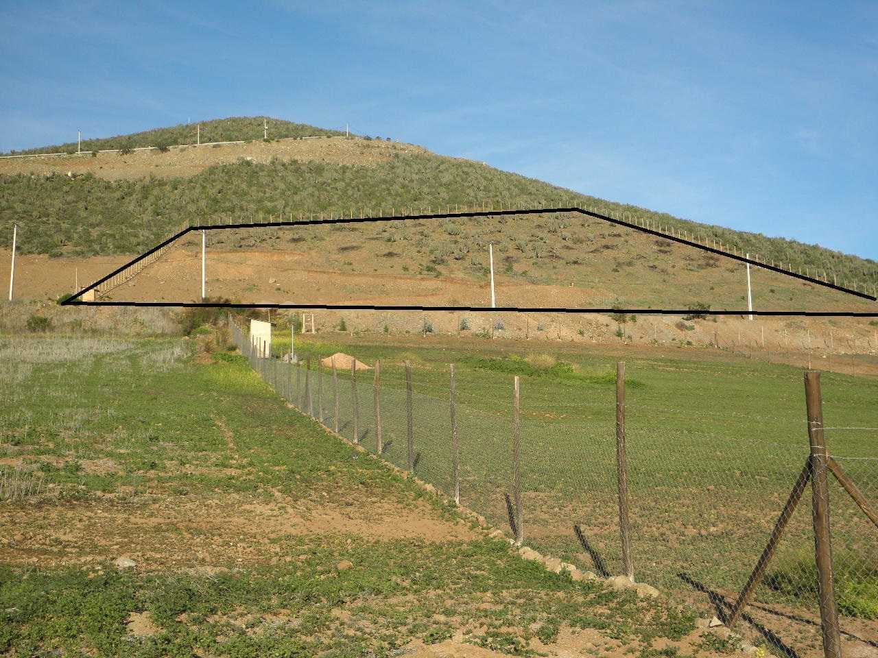 10.000.- MT2 EN FUNDO LORETO (98014)