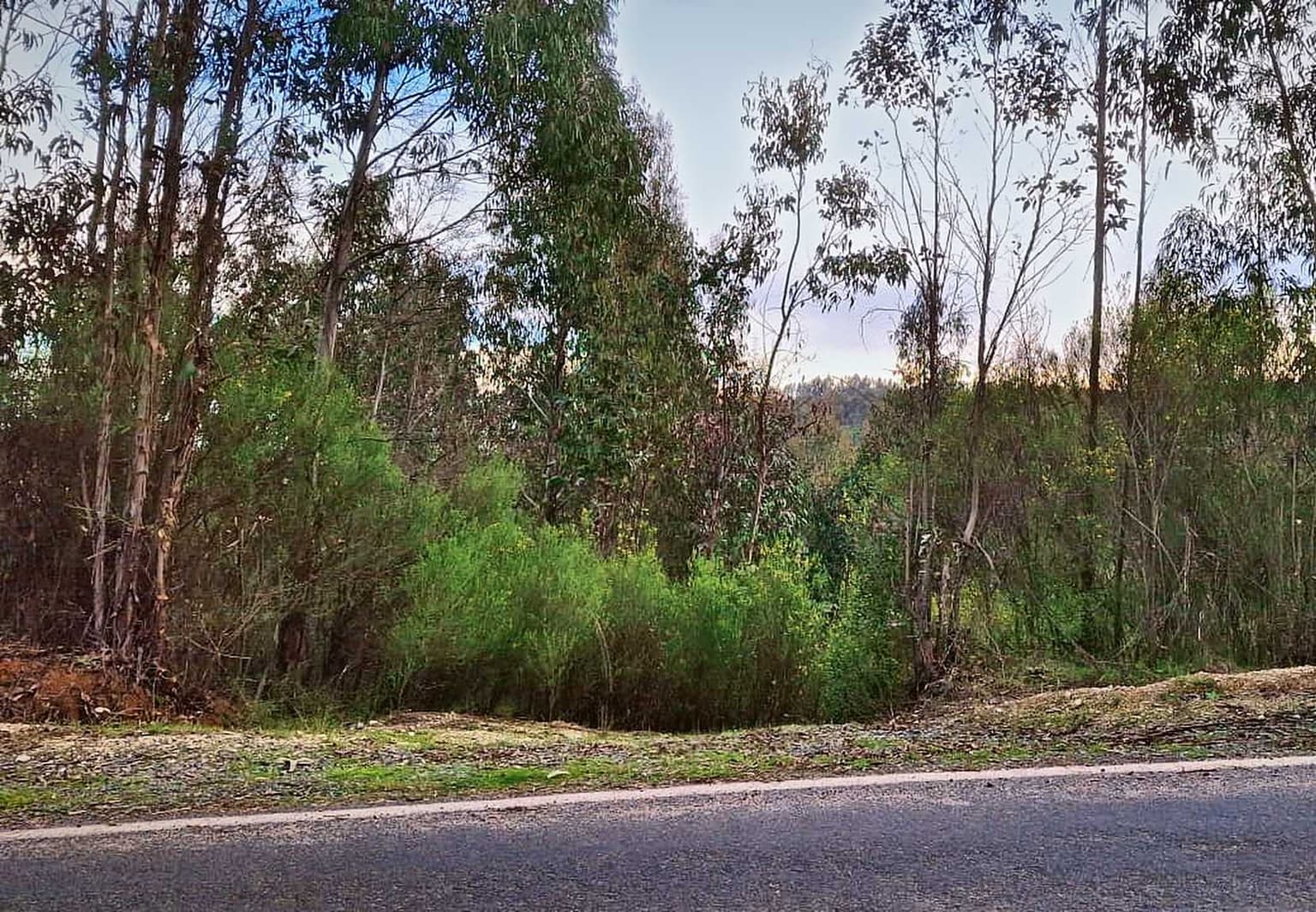 SE VENDE TERRENO 8700 MTS2 HUALQUI (180602)