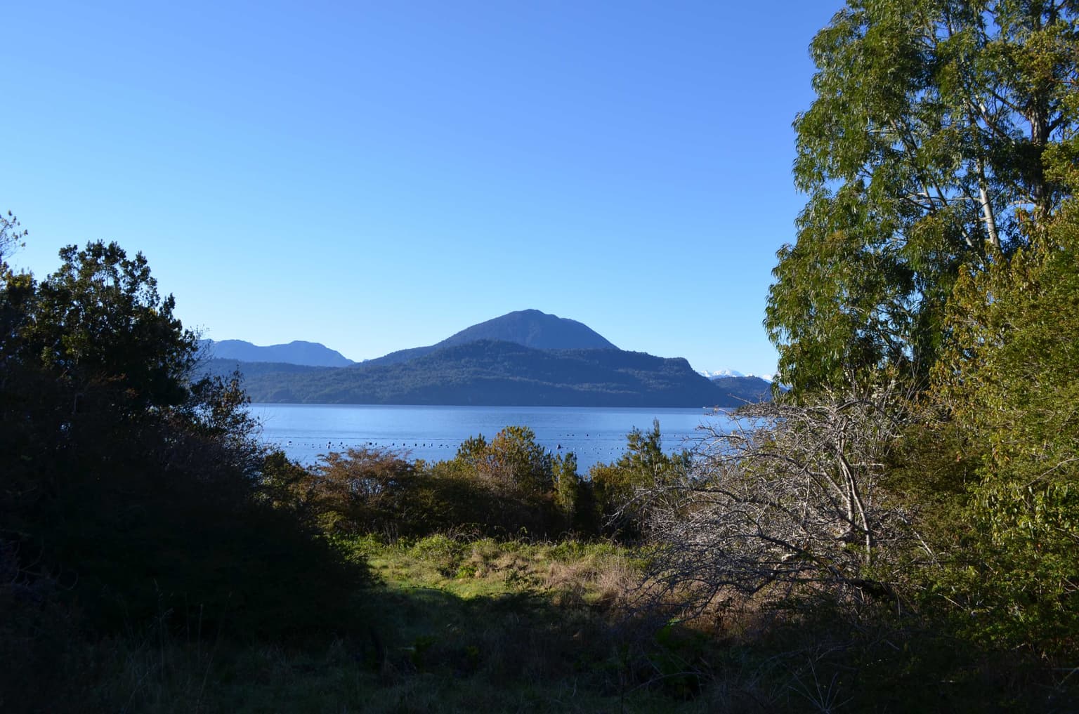 OPORTUNIDAD ISLA (103206)