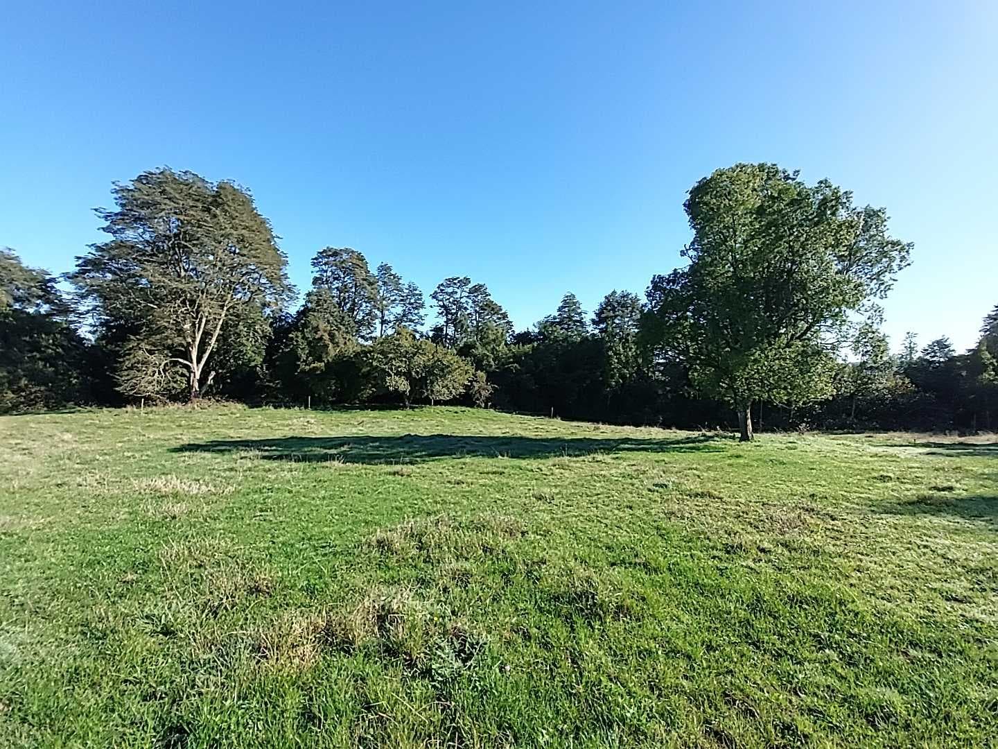 OPORTUNIDAD DE NEGOCIO (123701)