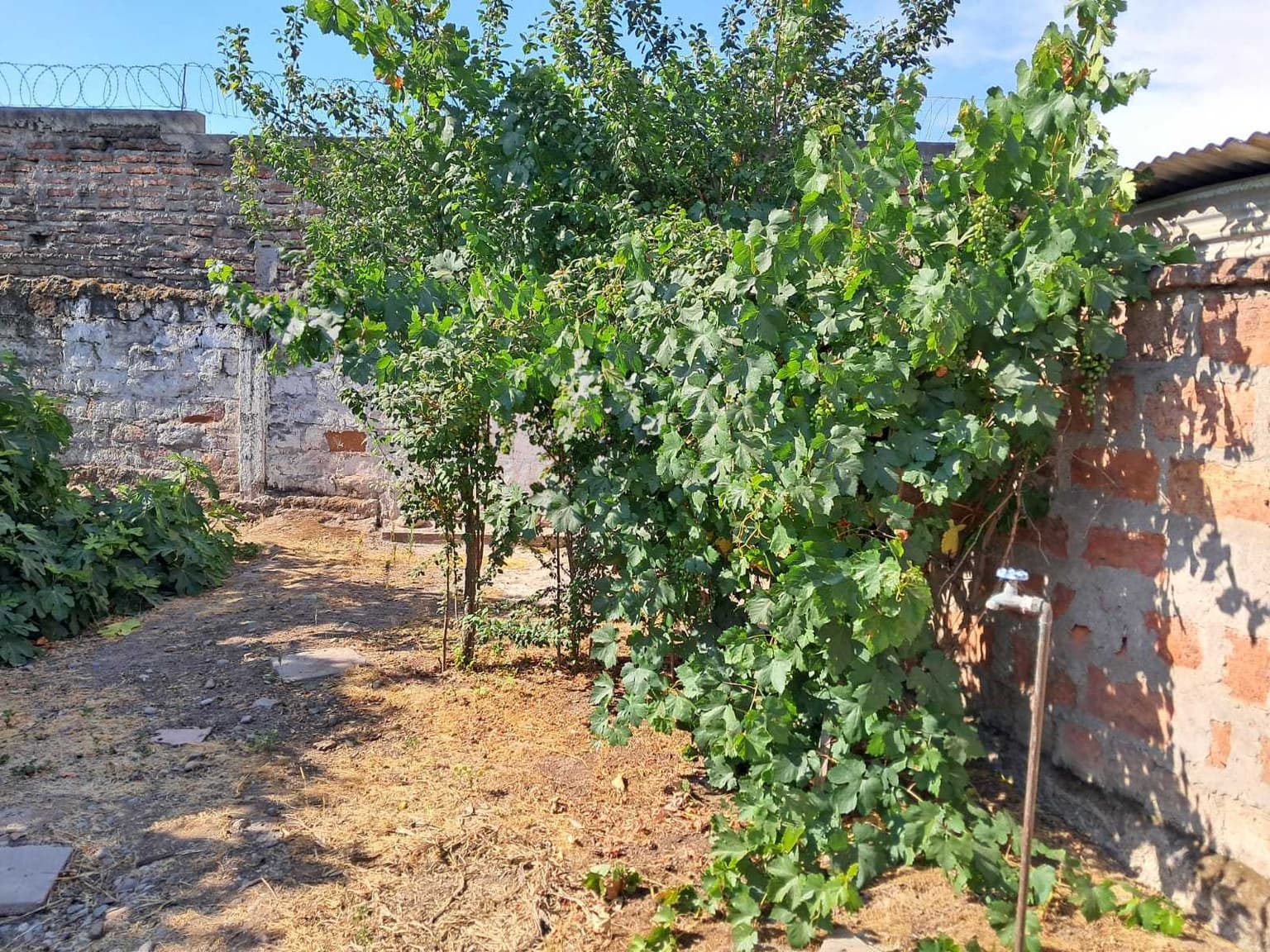 VENTA TERRENO-SITIO 429 MTS LA FLORIDA (156413)