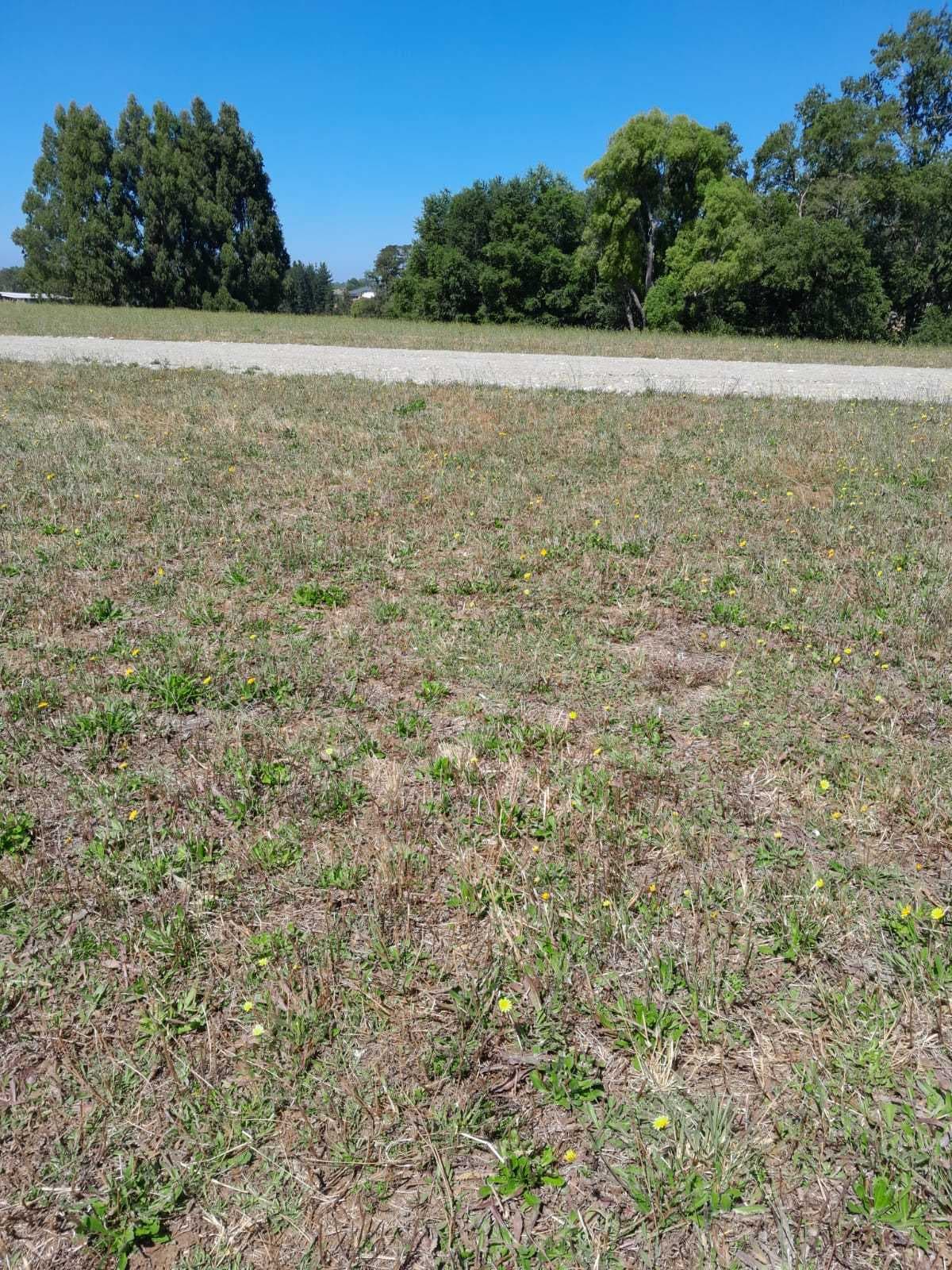 Venta Parcelas circuito Lago Ranco (128923)