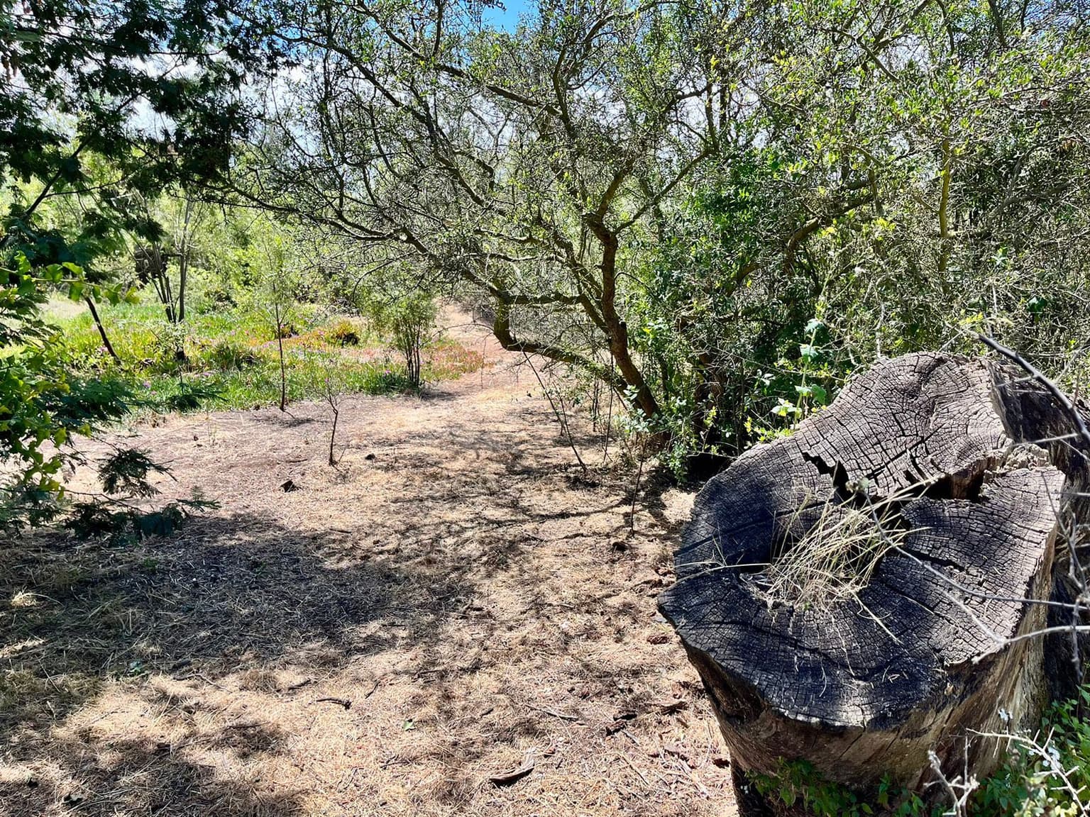 {"Error":"Could Not Find A Suitable Tls Ca Ce (157887)