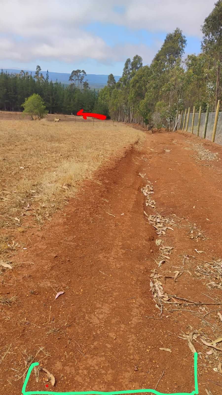 Oportunidad en Pichilemu: 10,65 Hectáreas en (151470)