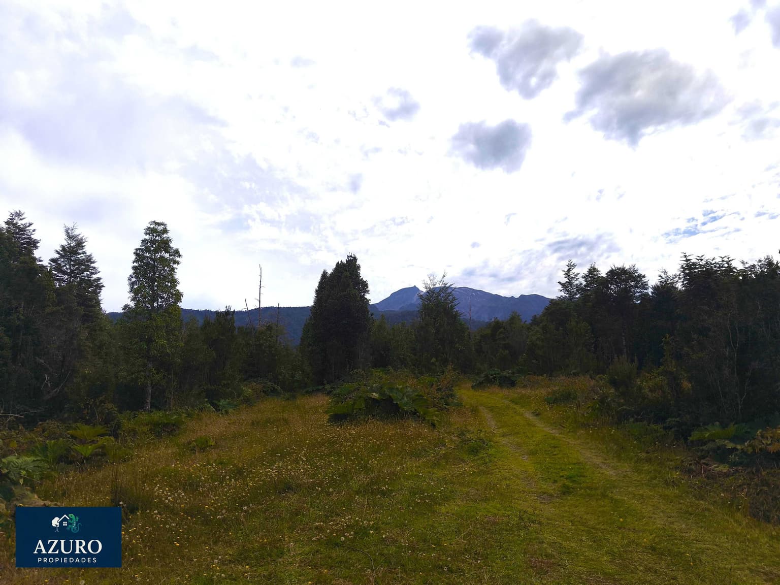 1 Há. Entorno Natural con río, Lago Chapo. PM (151392)