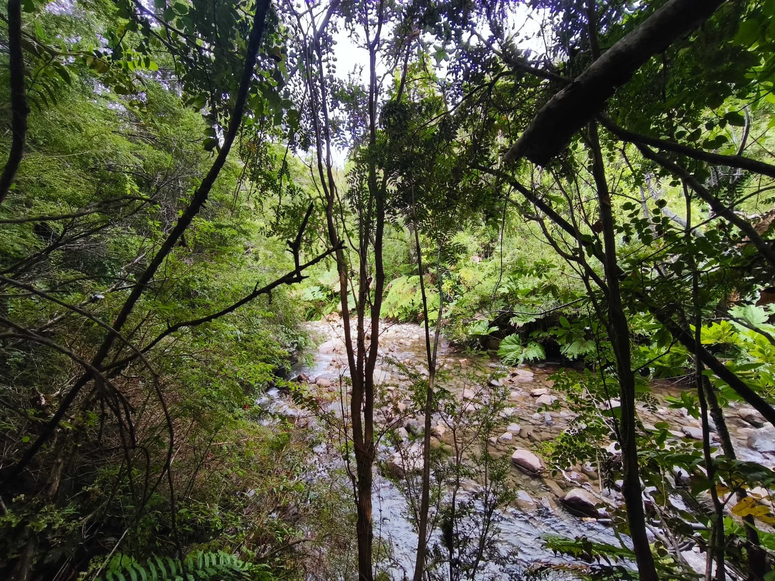 1 Há. Entorno Natural con río, Lago Chapo. PM (169510)