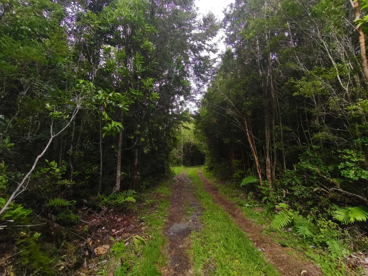 1 Há. Entorno Natural con río, Lago Chapo. PM (169510)