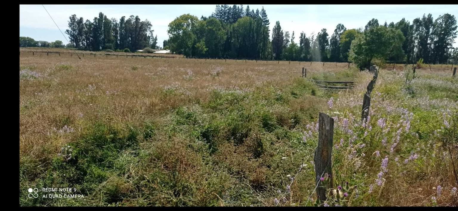 Parcela a minutos de Ruta 5 Sur. Ñiquen (116384)