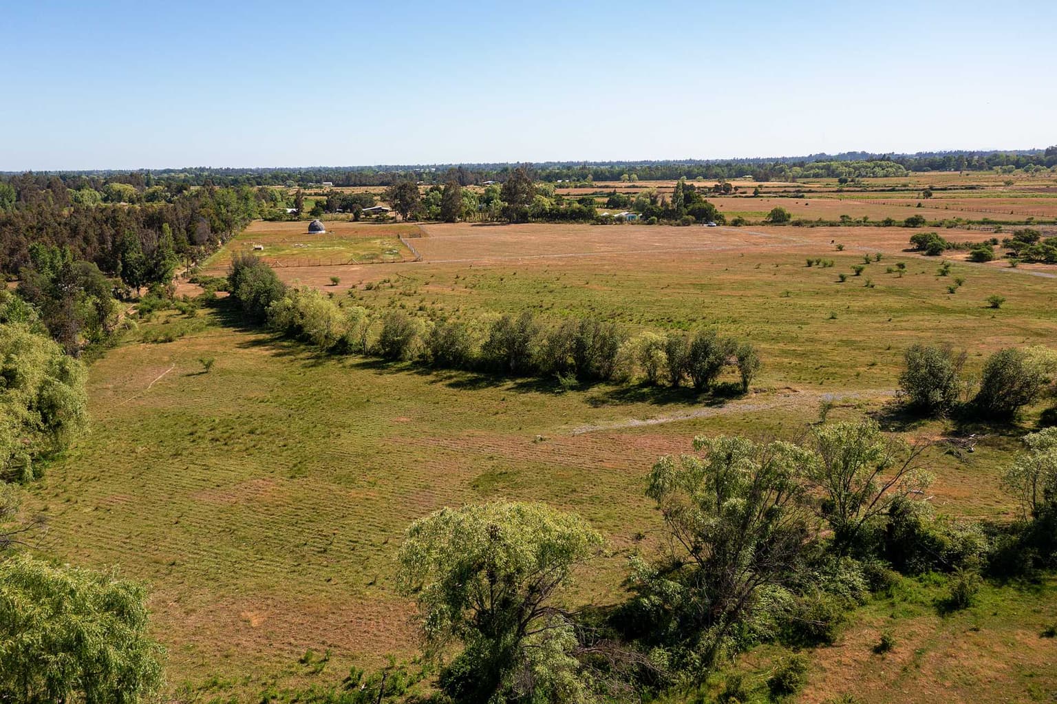 Parcela cerca de la costa Ñuble 5.000 m2 (117497)