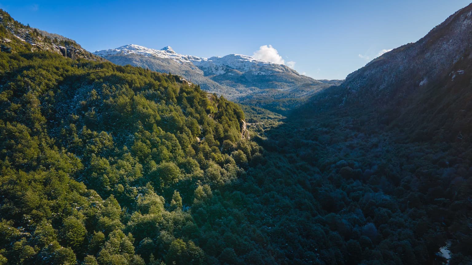 Terreno de 1 hectárea con Bosque Nativo (134033)