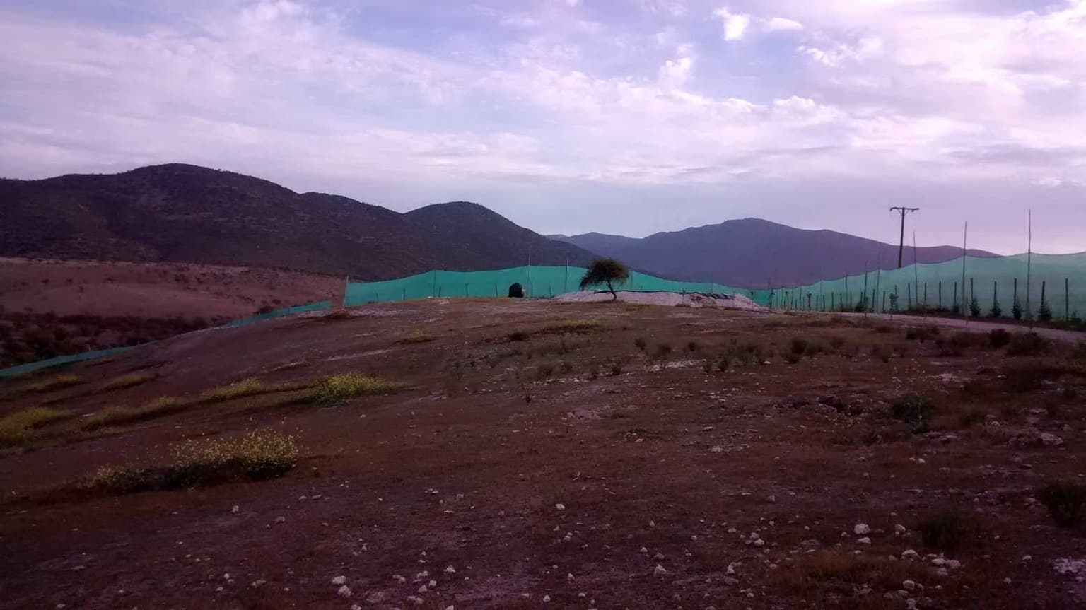 Parcela de 5.000 m2 en Ovalle (138960)