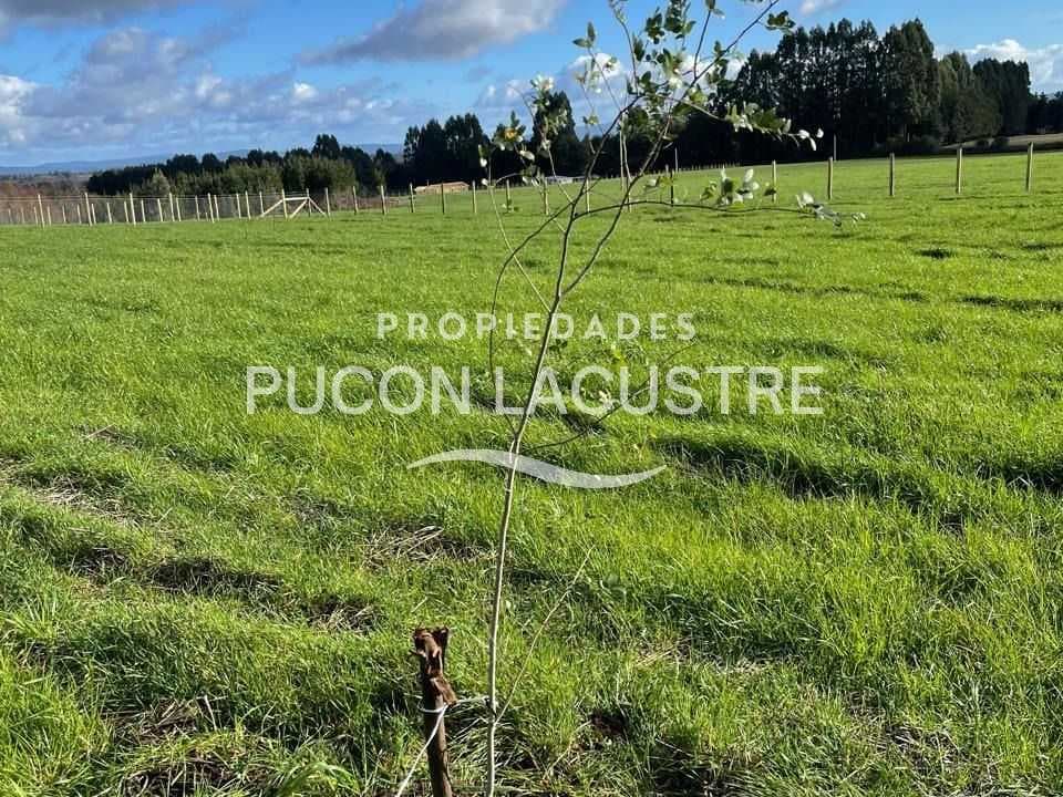 EN VENTA PARCELAS SECTOR LONG LONG VILLARRICA (145573)